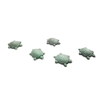 NatureROCKS Stepping Turtles (Set of 5 Turtles)