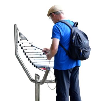 Man Playing the Harmony