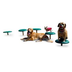 BarkPark Stepping Paws